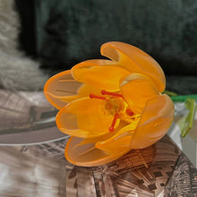 Load image into Gallery viewer, JAKI Blocks Kids Building Toys DIY Bricks Girls Flowers Puzzle Gradient Tulip Home Decor Women Gift 29311 29312 29315 29316