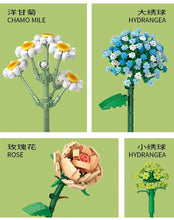 Load image into Gallery viewer, LOZ mini Blocks Kids Building Blocks Girls Toys DIY Bricks Flowers Puzzle Women Girls Gift Home Decor 1670 1671 1672