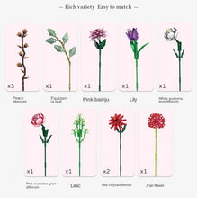 Load image into Gallery viewer, Panlos Blocks Kids Building Toys Bricks Girls Flowers Bouquet Puzzle Home Decor Women Holiday Gift 655001 655002 655007 655008